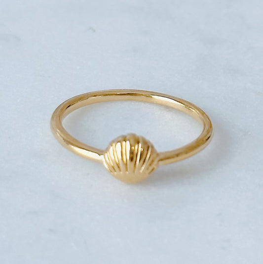 Dainty sea shell ring