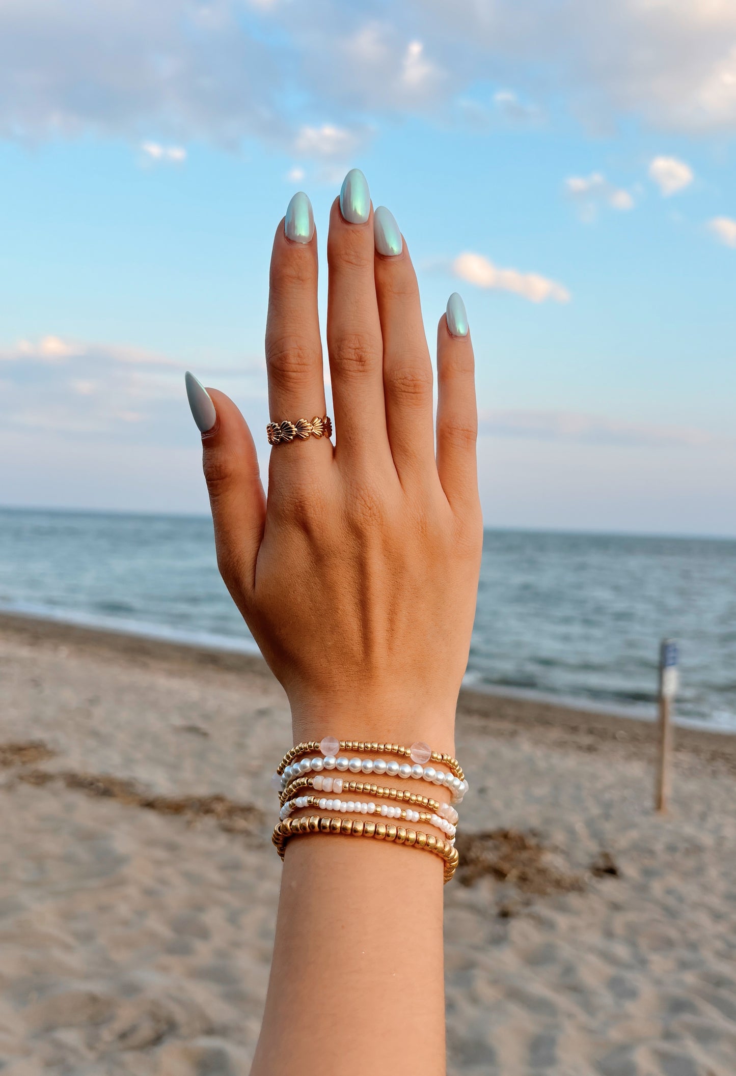 Sand dollar & chunky shell ring gift set