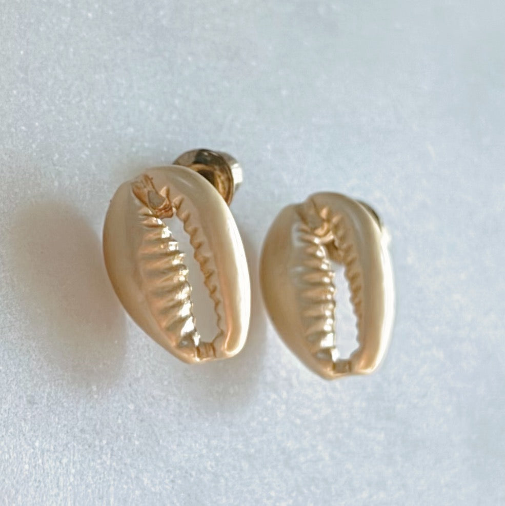 Gold Cowrie Seashell Stud Earrings