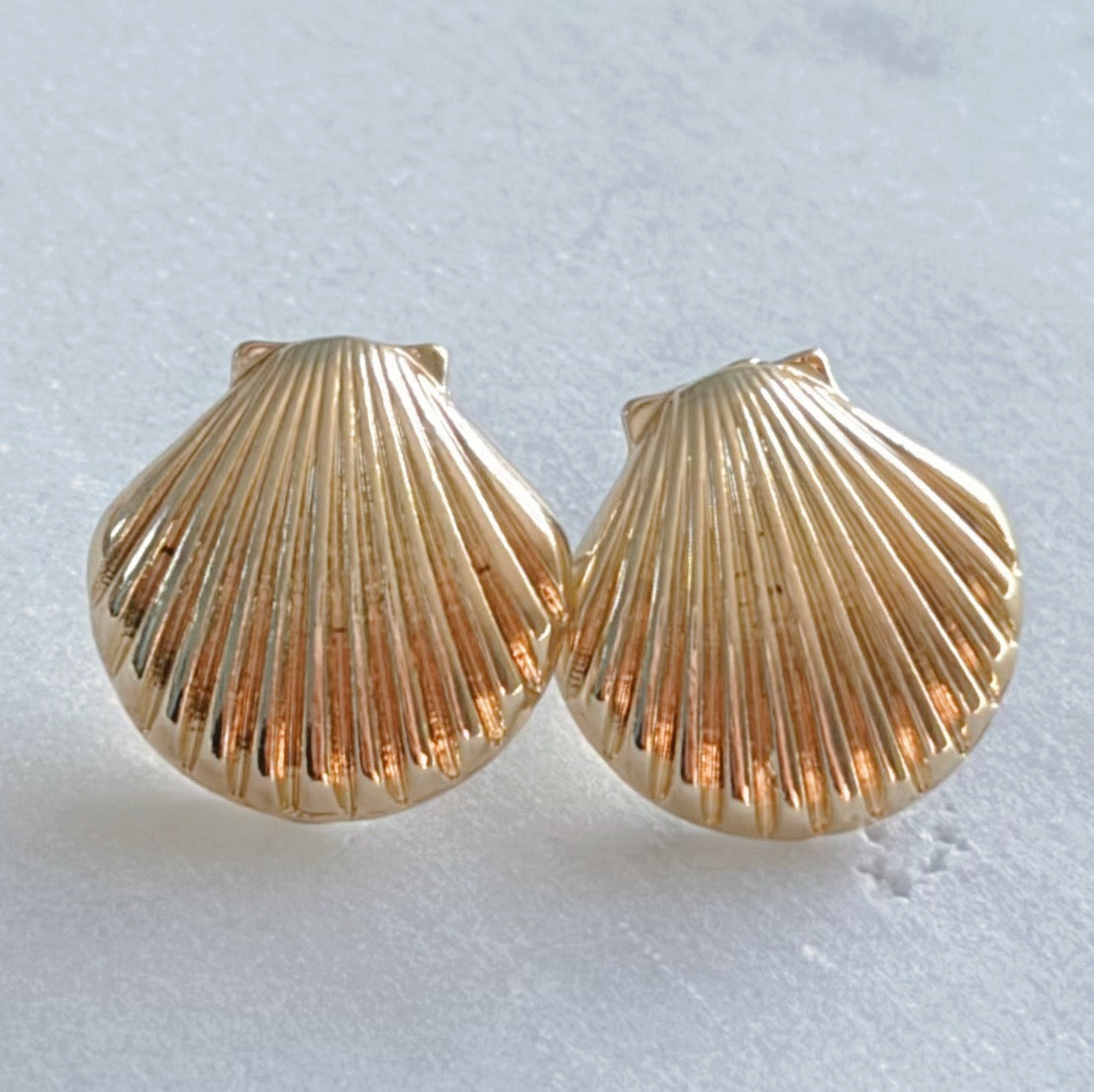 Gold Seashell Stud Earrings