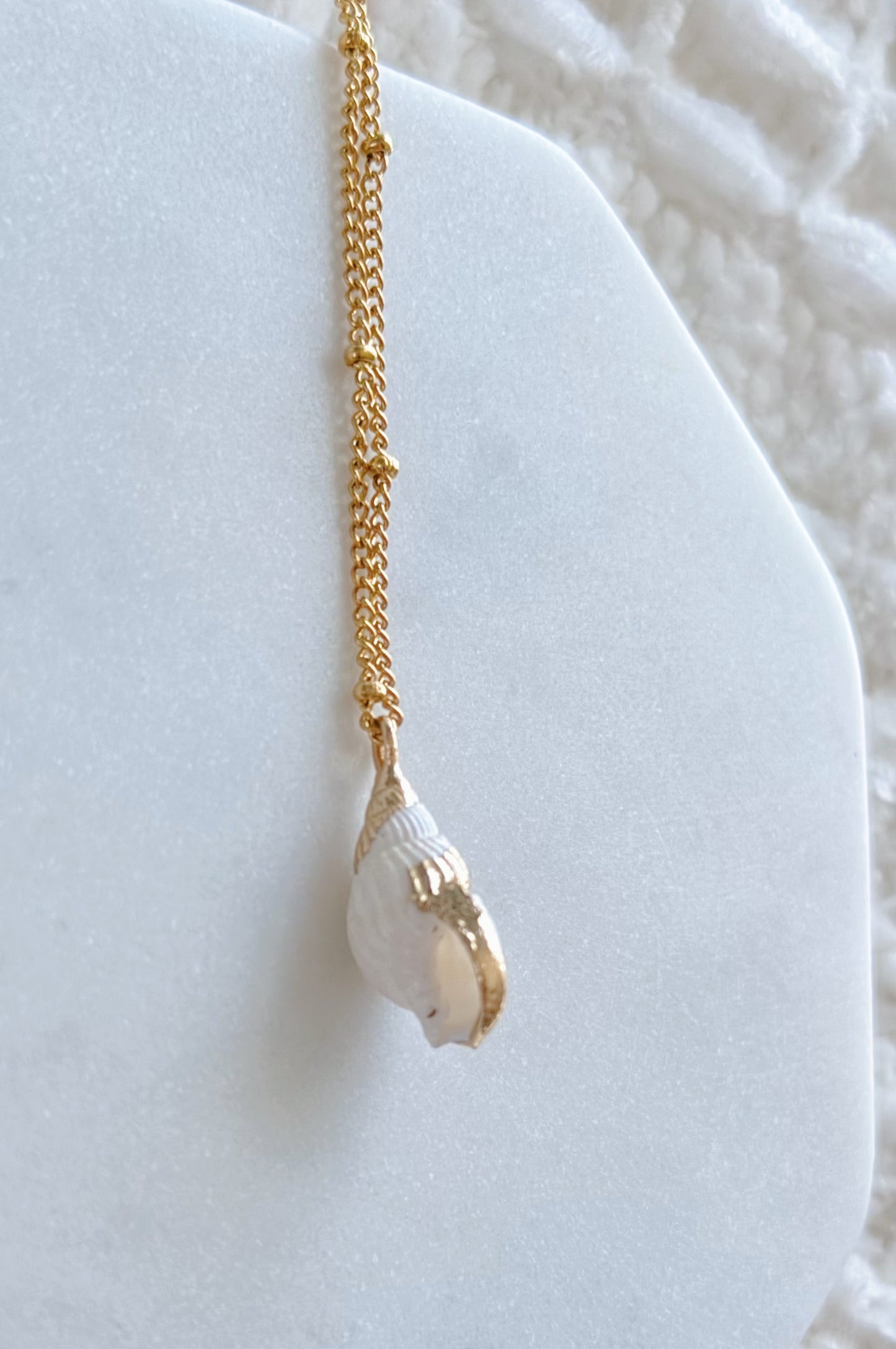 Dainty Gold Tulip Shell Necklace