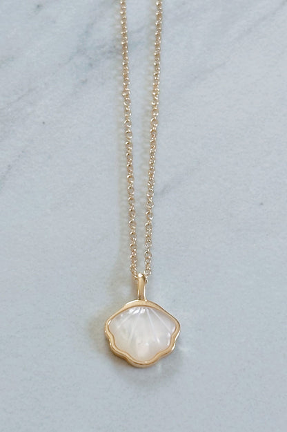 Capri shell necklace